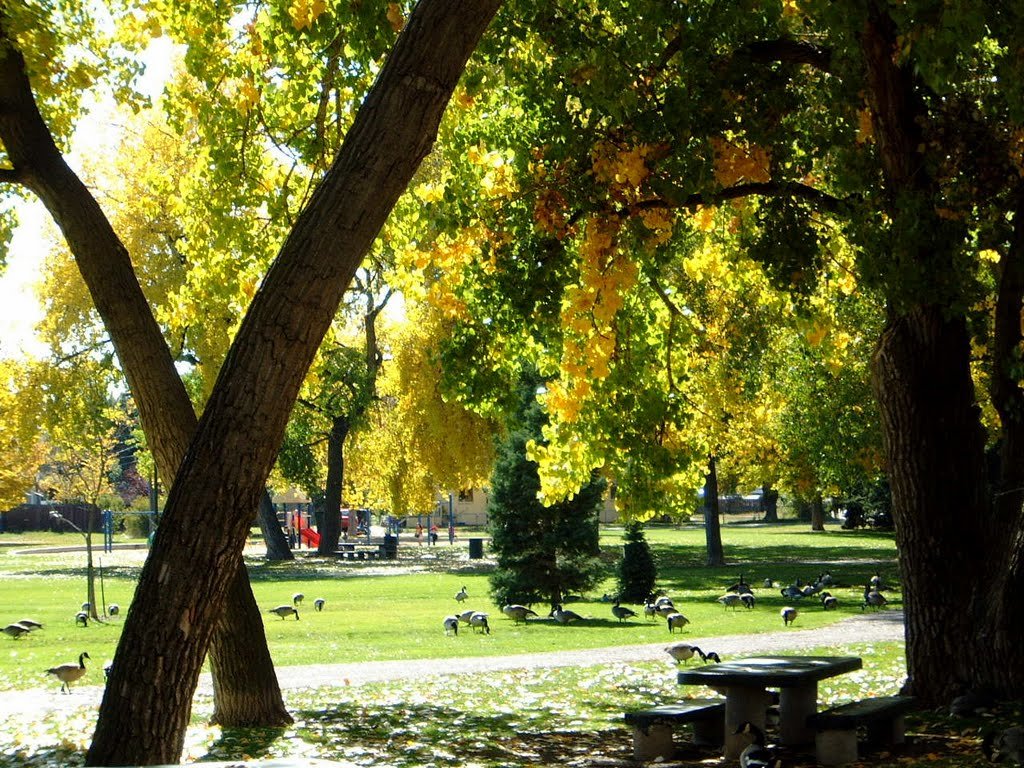 Harvey Park Denver CO Neighborhood Guide by West + Main Homes